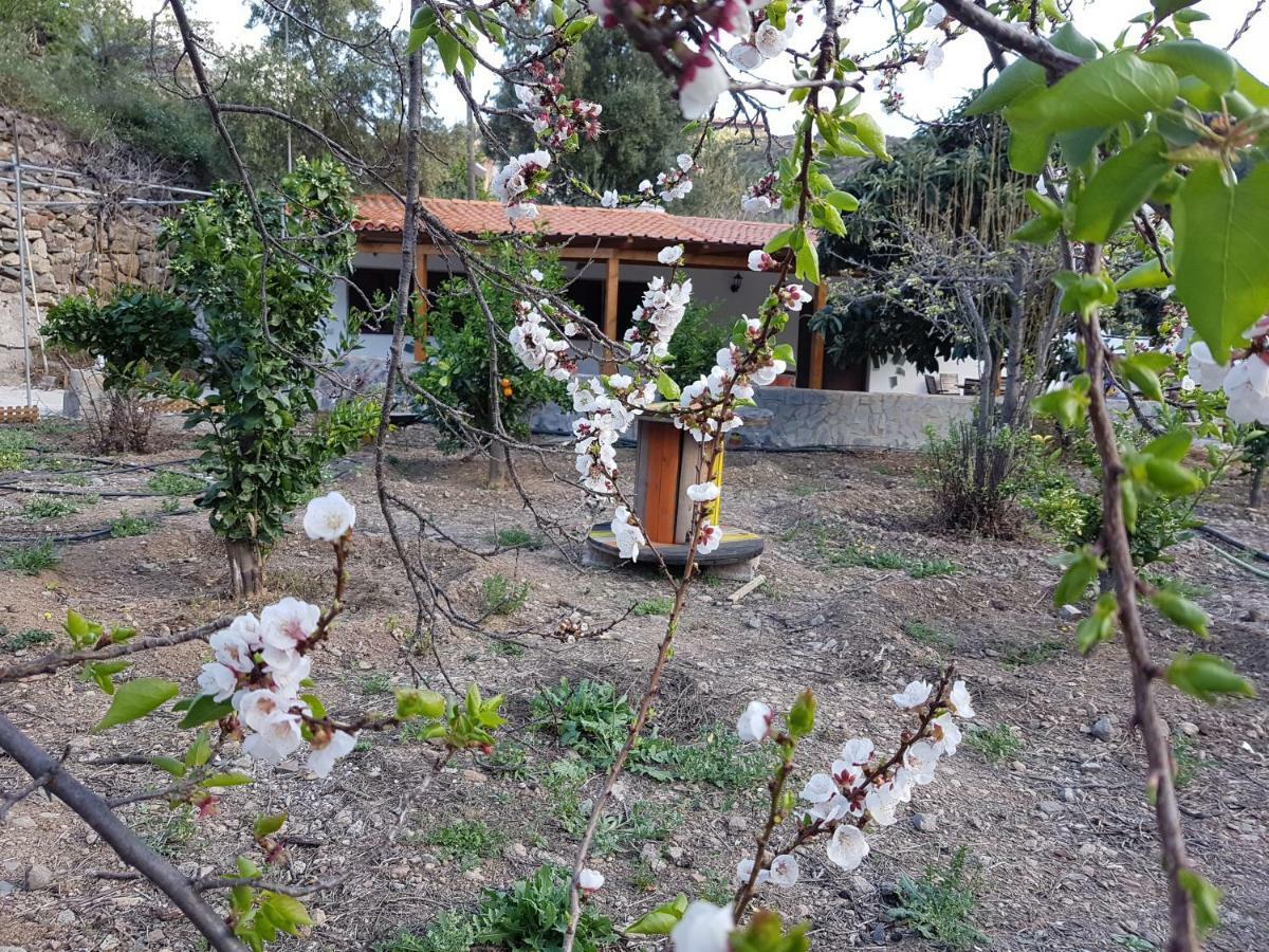 Casa Rural La Hoyita De Tunte Сан-Бартоломе Екстер'єр фото